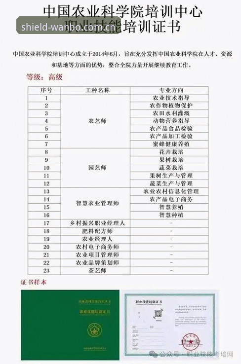 万博安全平台移动体验使用教程：从下载到流畅观赛的全流程指南
